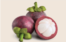 mangosteen 218 x 140.png mangosteen 218 x 140.png